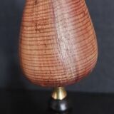 Cabinet of Curiosities conus figulinus shell on base