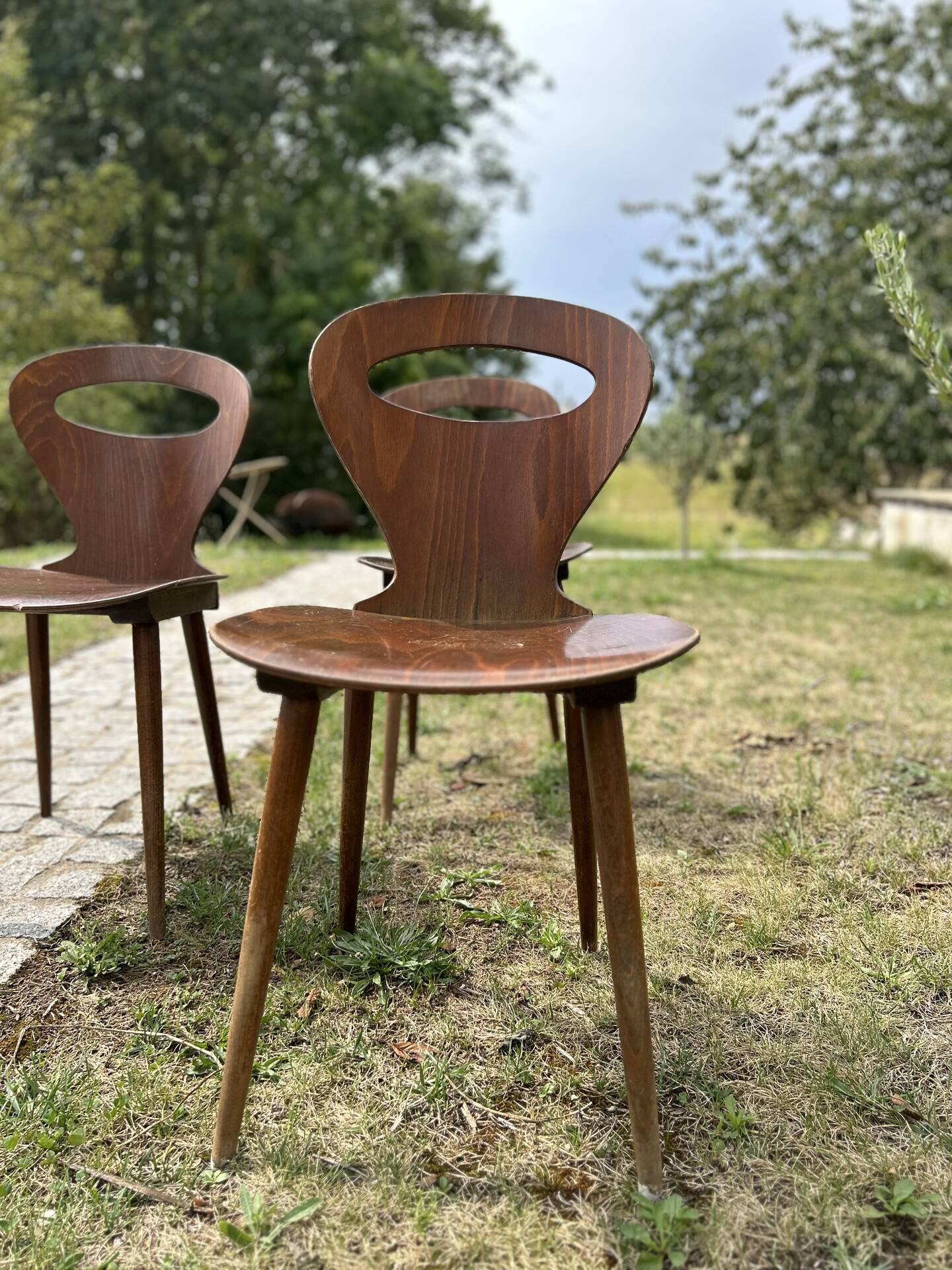 Baumann chair model Ants