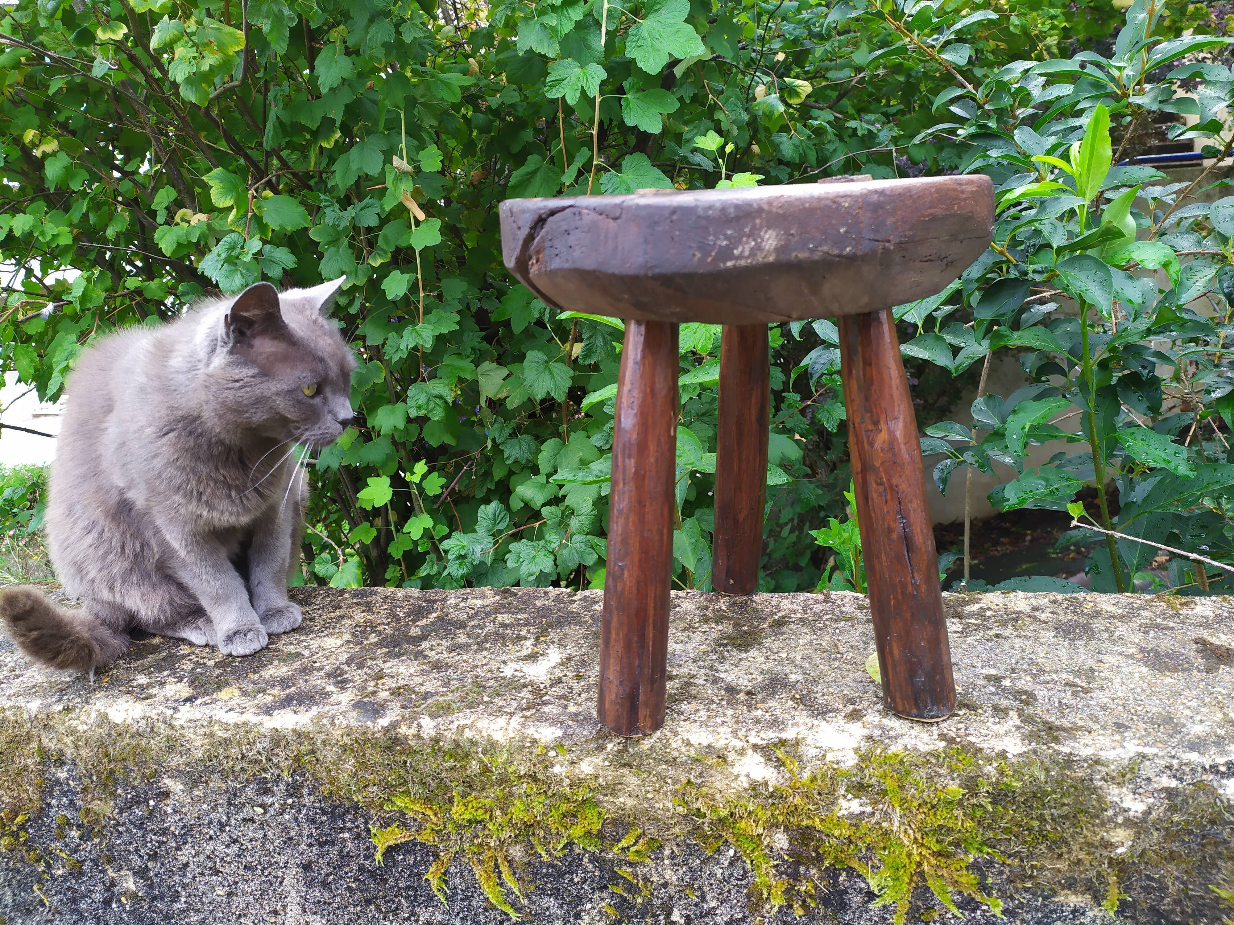 Tabouret tripode en bois brut