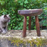 Raw wood tripod stool