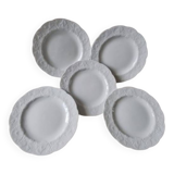 set of 5 Limoges porcelain dessert plates with wild ivy