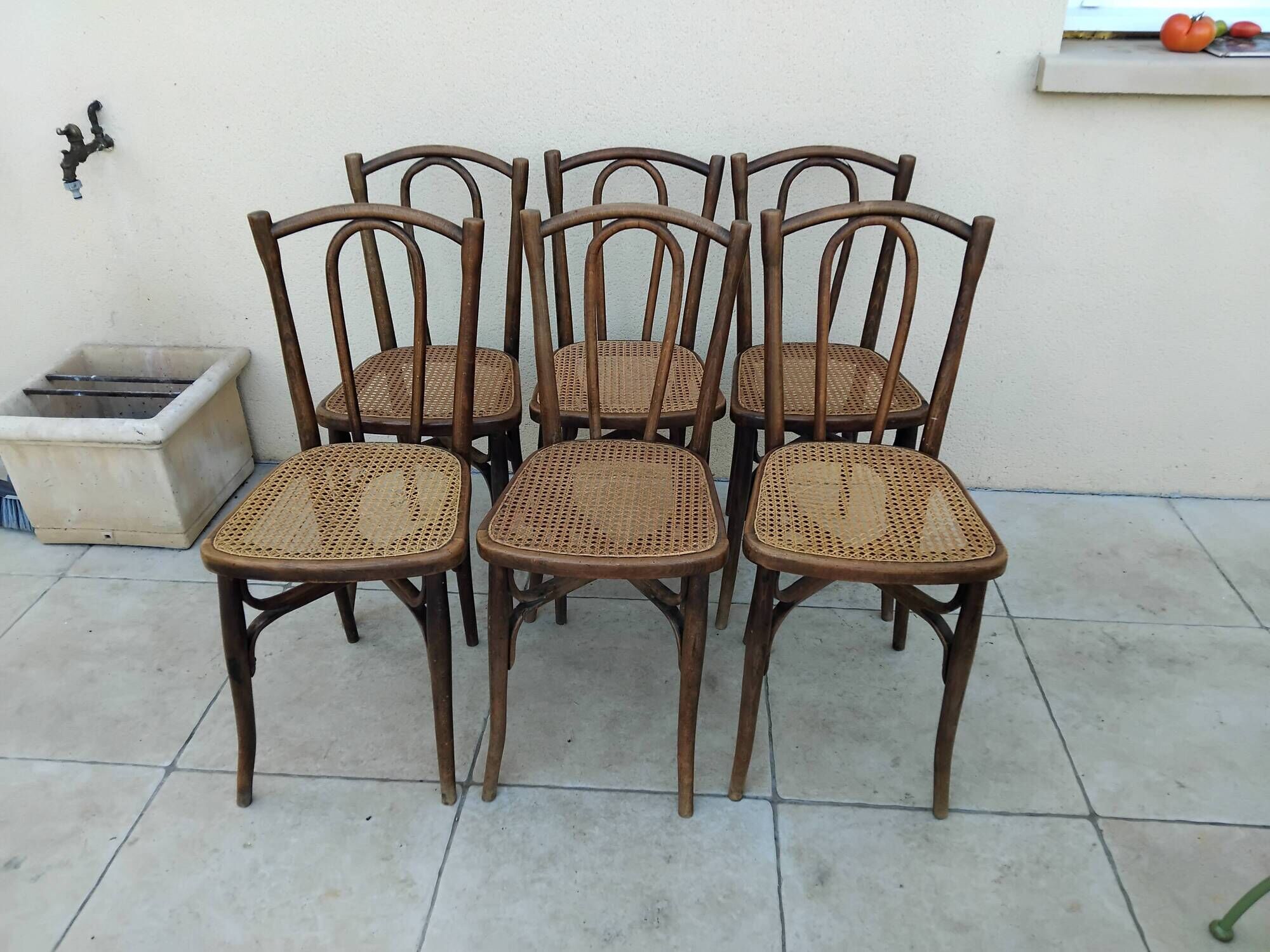 6 antique bistro chairs with curved wood and caning from 1900 L&H Cambier Frères