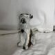 Ceramic dog