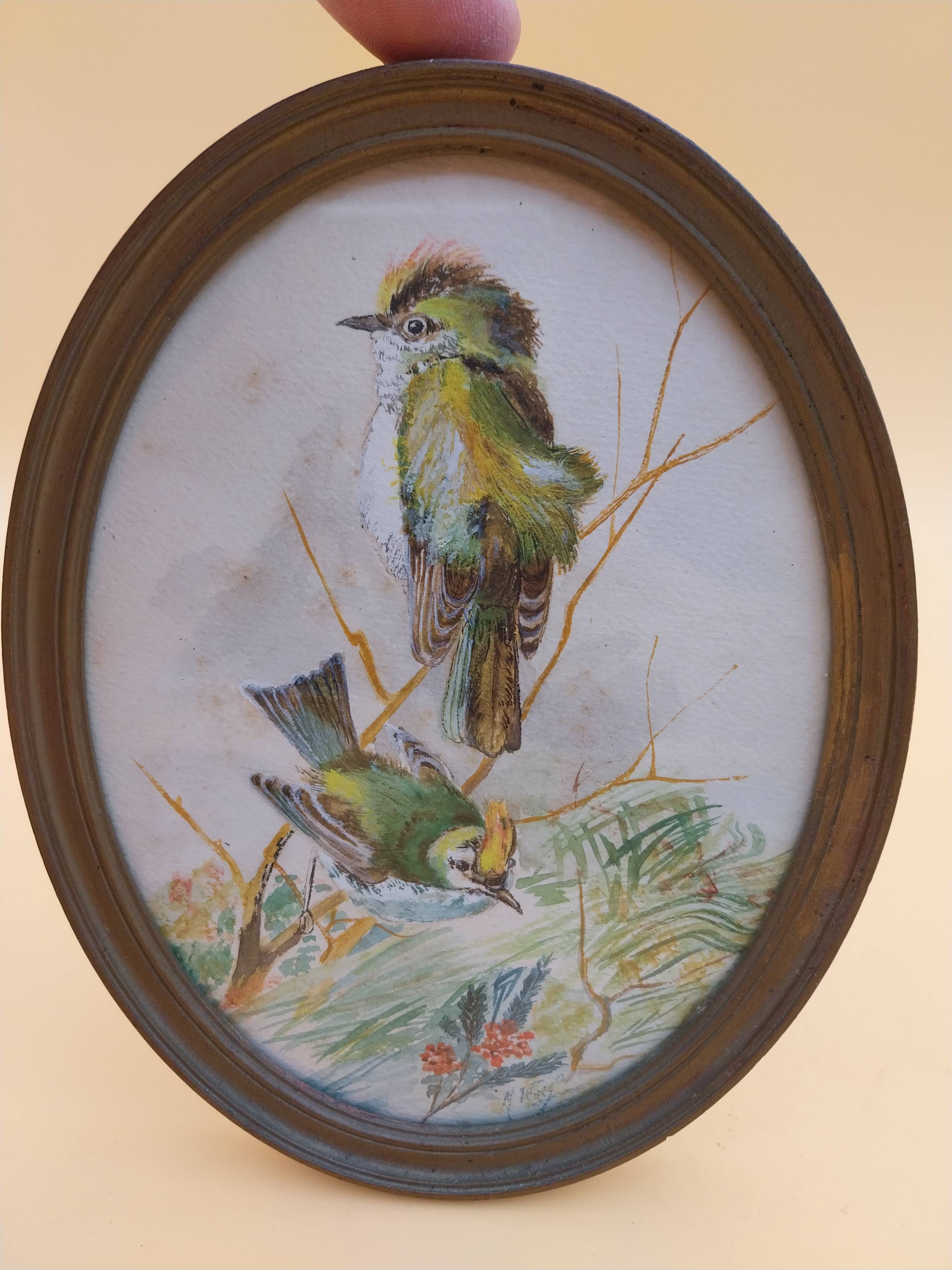 3 tableaux aquarelle peinture oiseaux signé Wolf