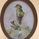 3 tableaux aquarelle peinture oiseaux signé Wolf