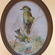 3 tableaux aquarelle peinture oiseaux signé Wolf