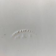 Old flat plate David Johnston