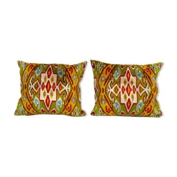 Paire de coussins