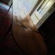 Winegrower's table with extension