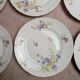 Set of 12 dessert plates in Limoges porcelain GDA France – floral design