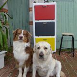 Renovated buffet in Mondrian colors