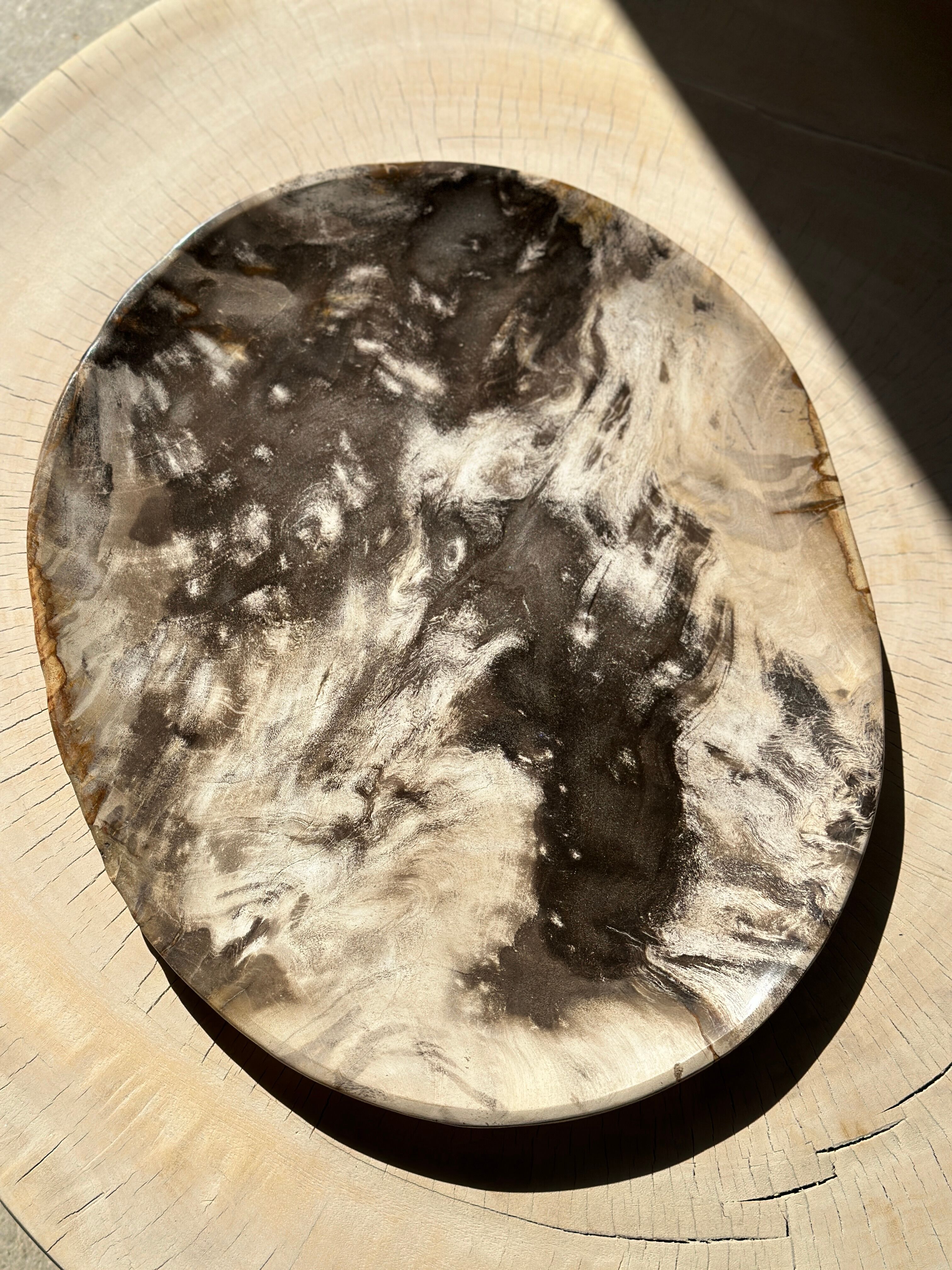 Very large empty pocket or petrified wooden flat