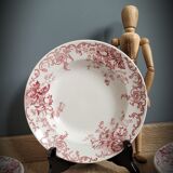 Quartet plates Campanula