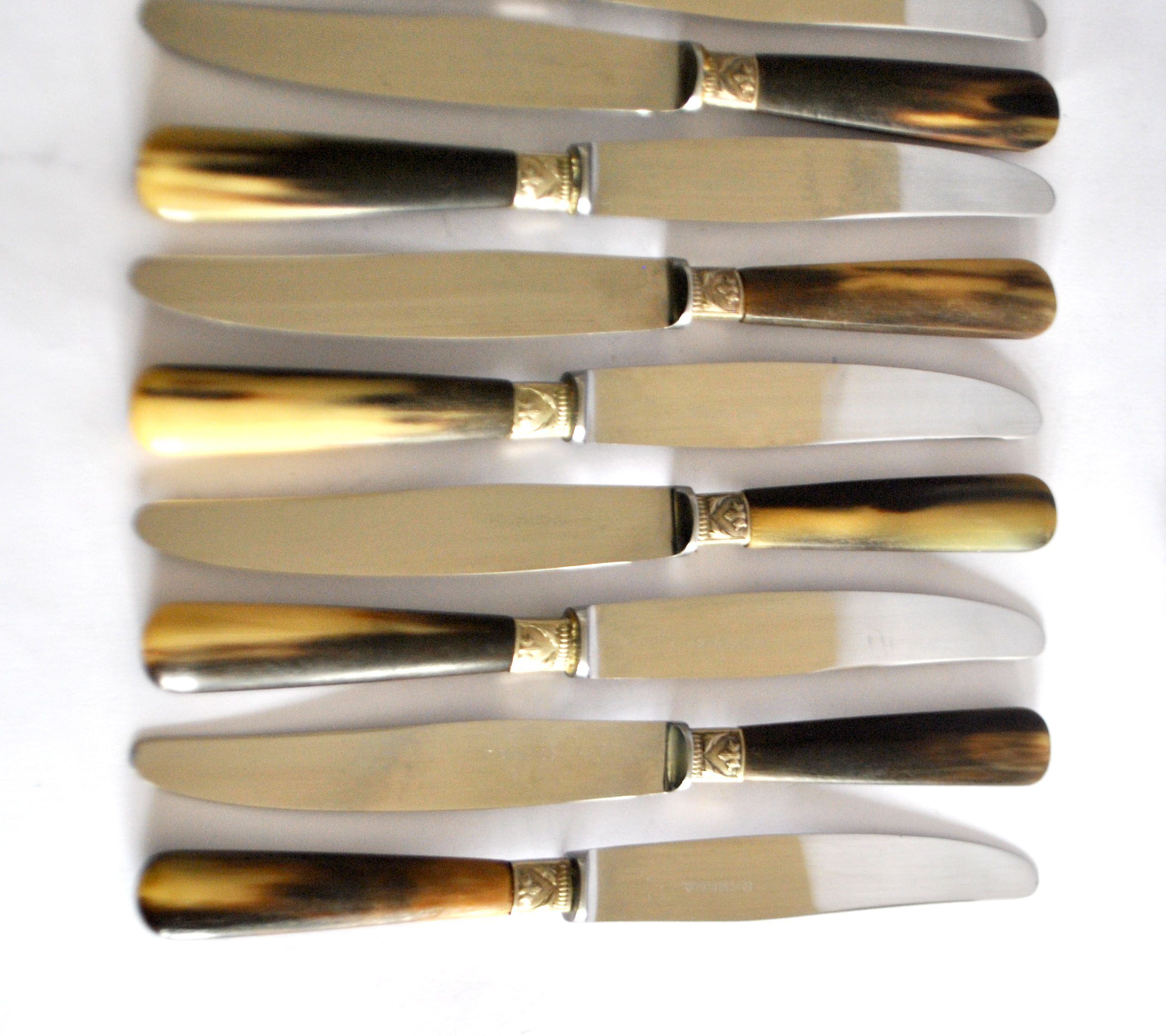 Set of 12 vintage table knives with horn handles and stainless steel blades RENEKA 24.5 cm