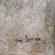 Oil/canvas Nature Wildflowers, Thistles signed Guy Lanier
