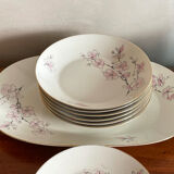 Hollow plates and flat cherry trees Stelmann