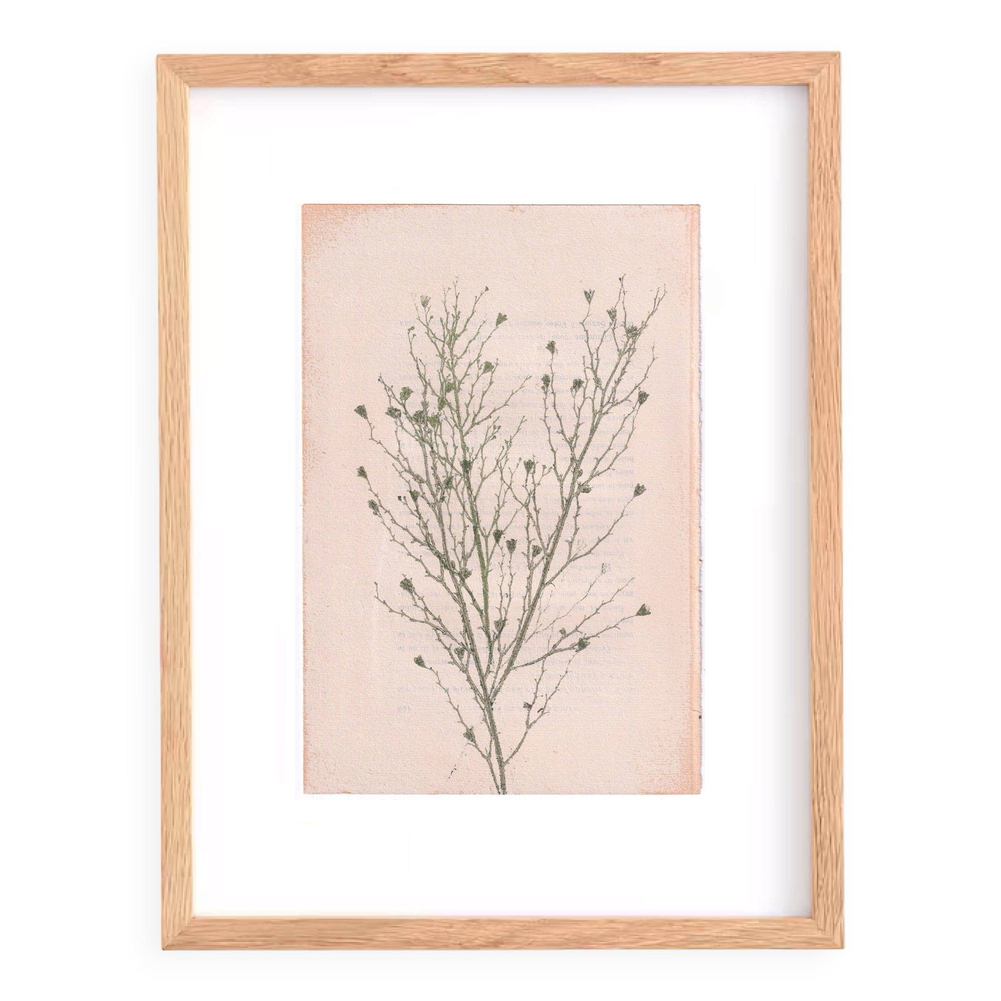 Painting on paper botanical herbarium series signed Eawy