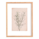 Painting on paper botanical herbarium series signed Eawy