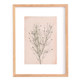 Peinture sur papier série herbier botanique signée Eawy