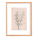 Painting on paper botanical herbarium series signed Eawy