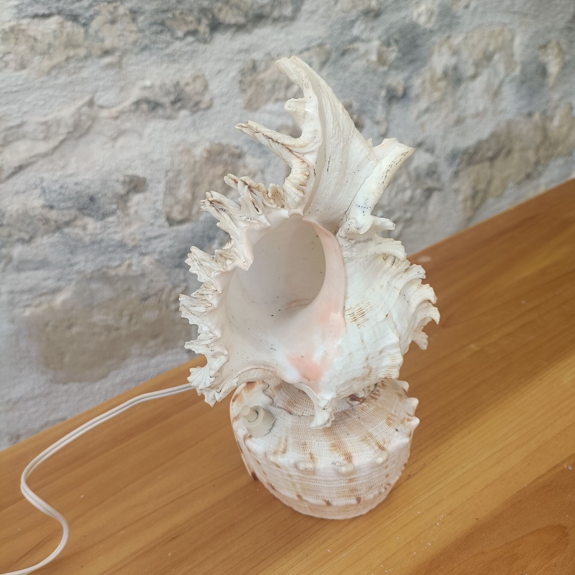 Shell lamp 60's