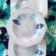 Assiettes plates x4