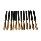 12 table knives