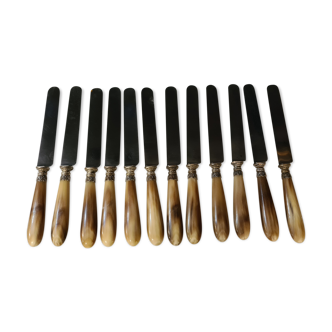 Coffret de 12 couteaux de table