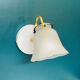 Pair of brass wall sconces and glass tulips vintage decoration lighting fixture