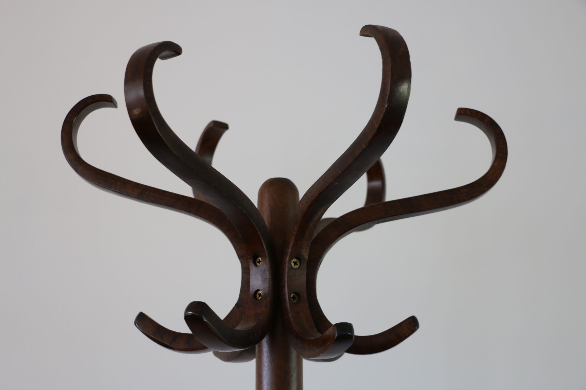 Coat rack parrot Baumann simple dark beech