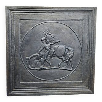 Fireplace plate