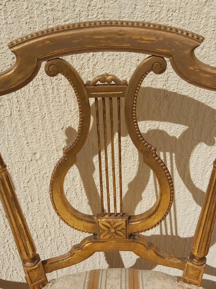 Pair of chairs with a golden lyre