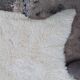 Sheep's skin