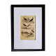 Original ornithological plate "