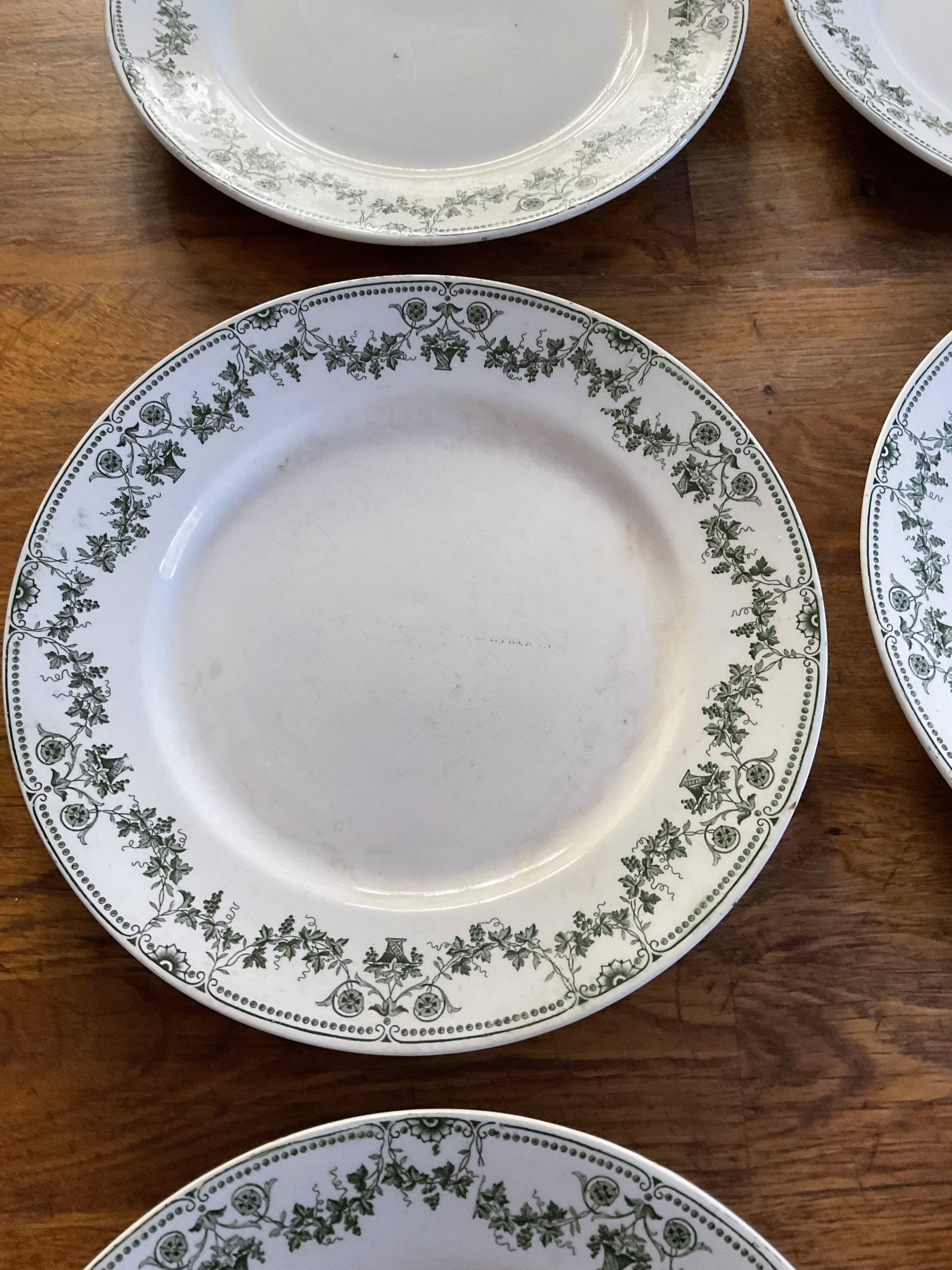 Set 6 flat plates badonviller model champagne