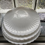 Shellfish plates