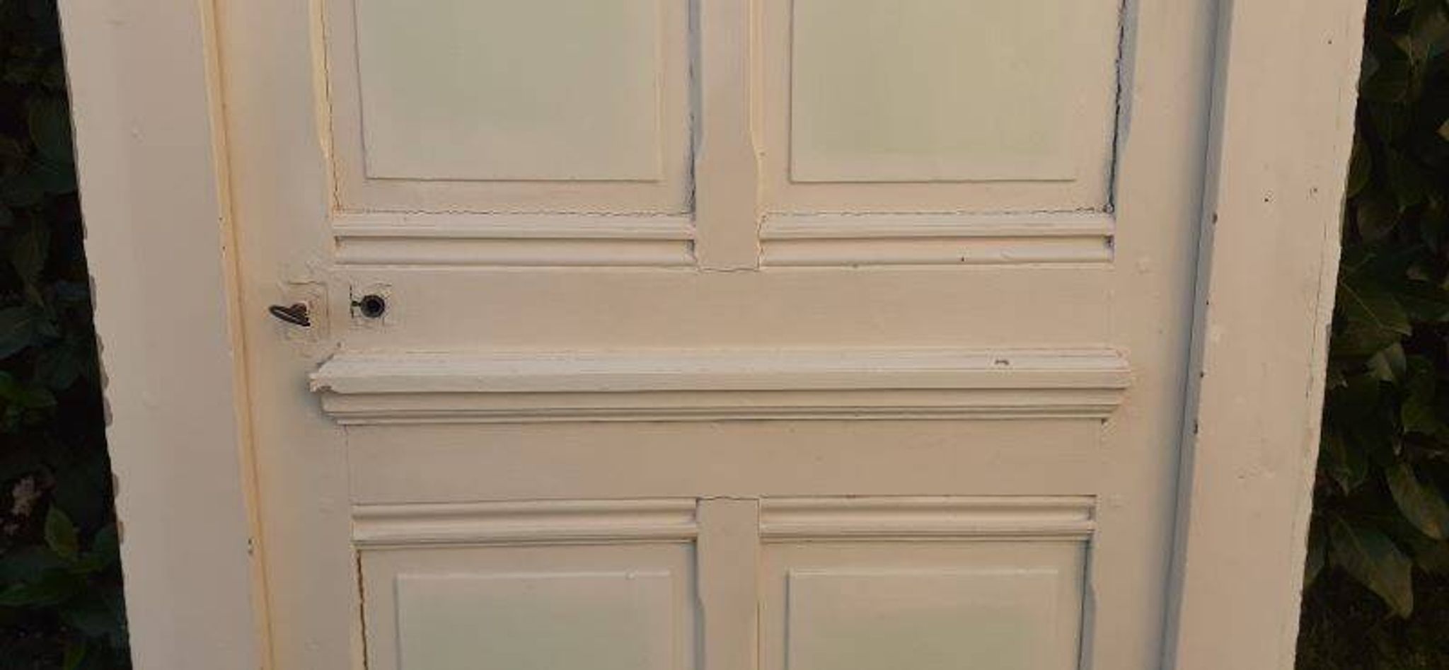 81.2x212 door and old molded paneled communication frame