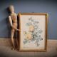 Rose lithograph frame Rosa Sulfura