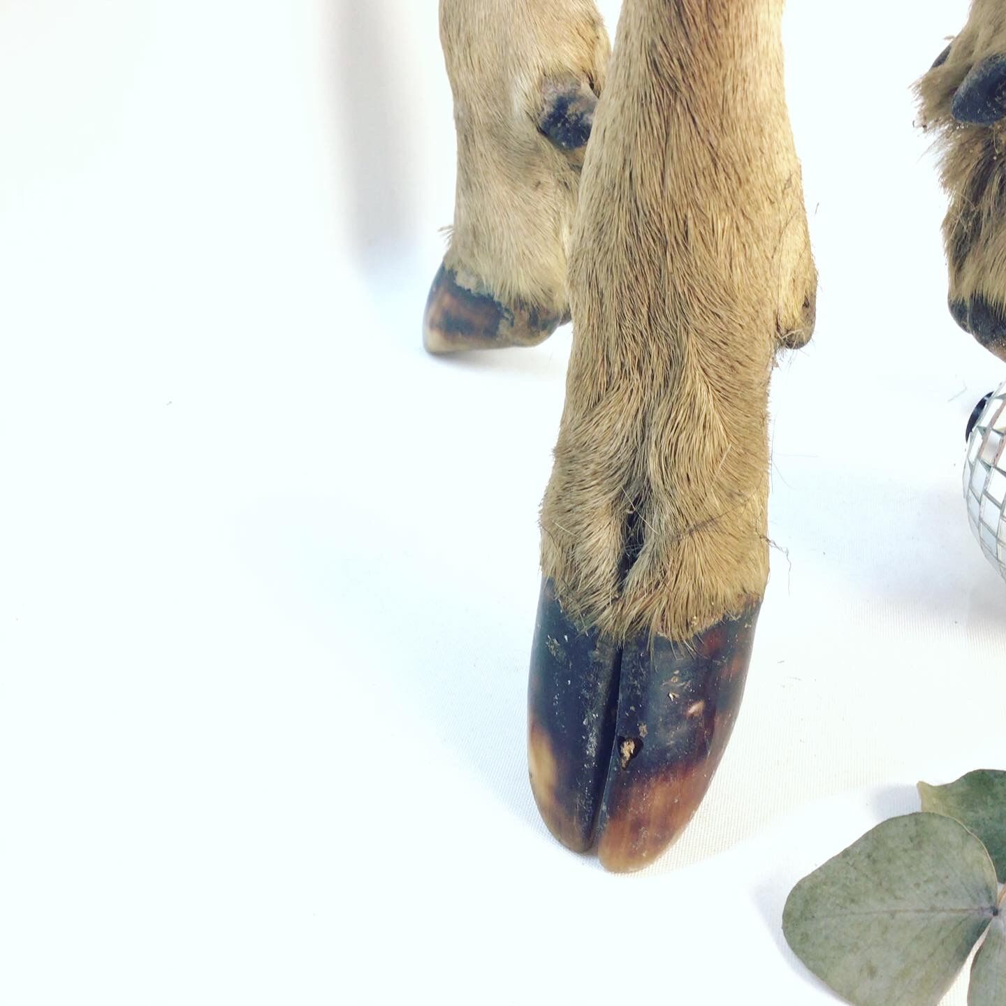 Wild deer skin tripod