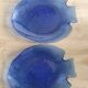 Arcoroc fish plates