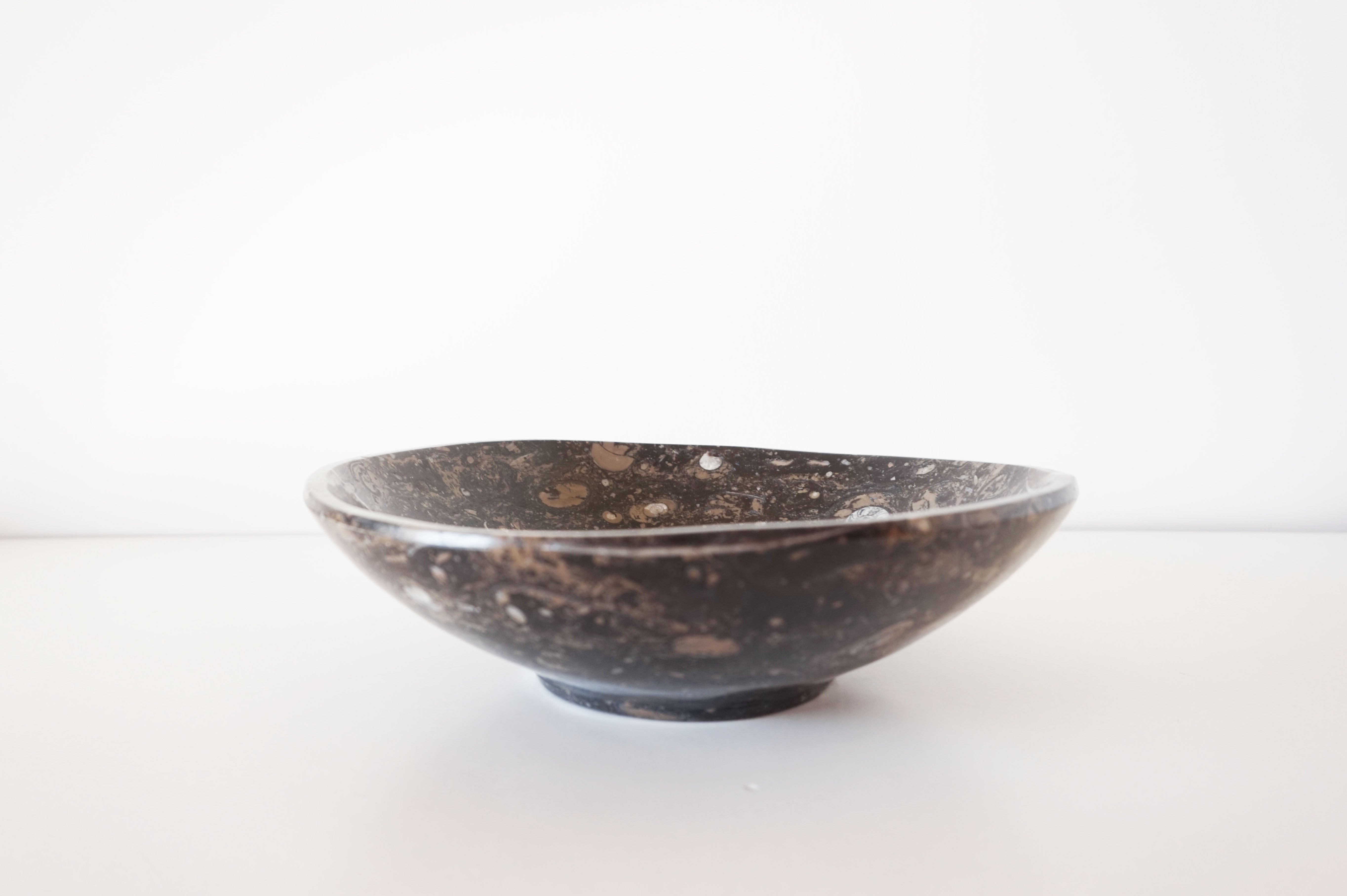 Empty pocket in fossilized black marble