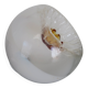 Mazzega Murano suspension globe 25 cm 1960-70