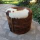 Cowhide chest pouf, 1970