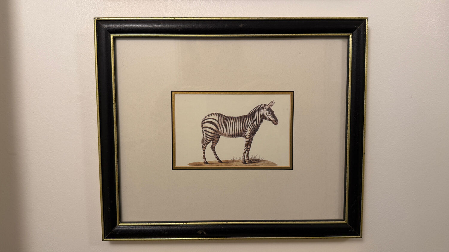 Ensemble de trois gravures animalières style histoire naturelle