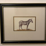 Ensemble de trois gravures animalières style histoire naturelle