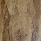 Tableau signé aquarelle monochrome nu féminin « étude de dos »