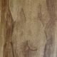 Signed painting monochrome watercolor female nude “back study”