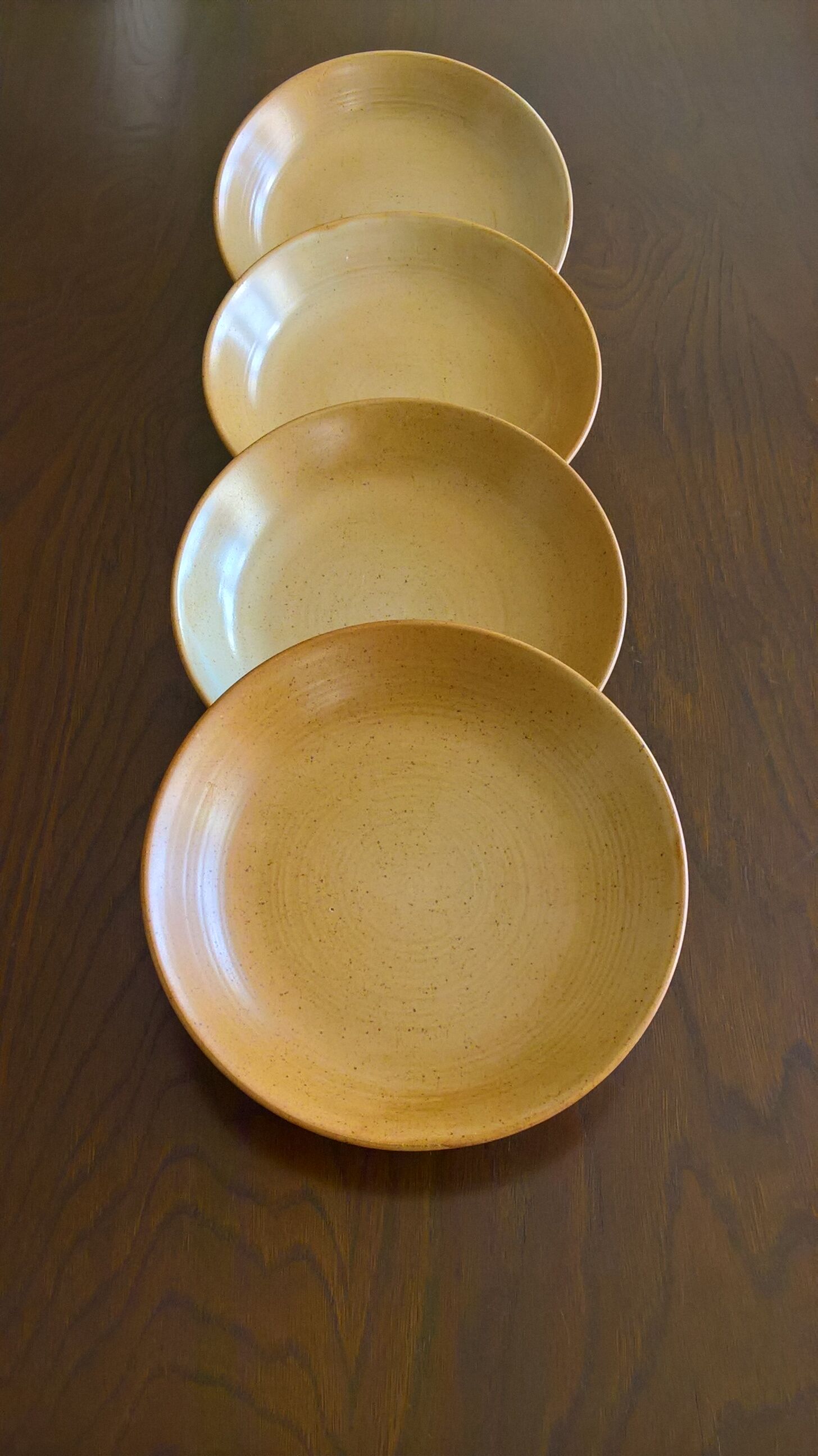 Set de 4 assiettes calottes en grès CNP village