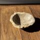 Round beige petrified wood bowl D21- 3780