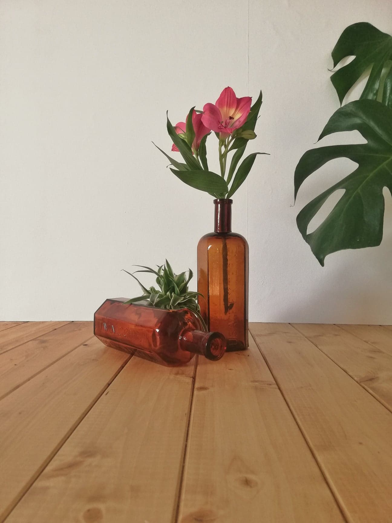 Old pharmacy bottles